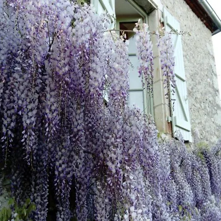 House La Petite Maison De Clotilde Semesterbostad Creysse (Lot)